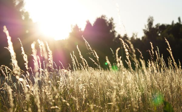 /Magazine/2021/October/29-10-2021_How to hold on to joy and prolong feelings of happiness.jpg